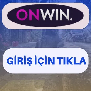 Onwin giriş